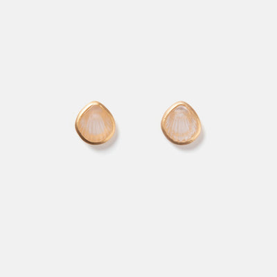 Seashell Earrings Shell Earrings